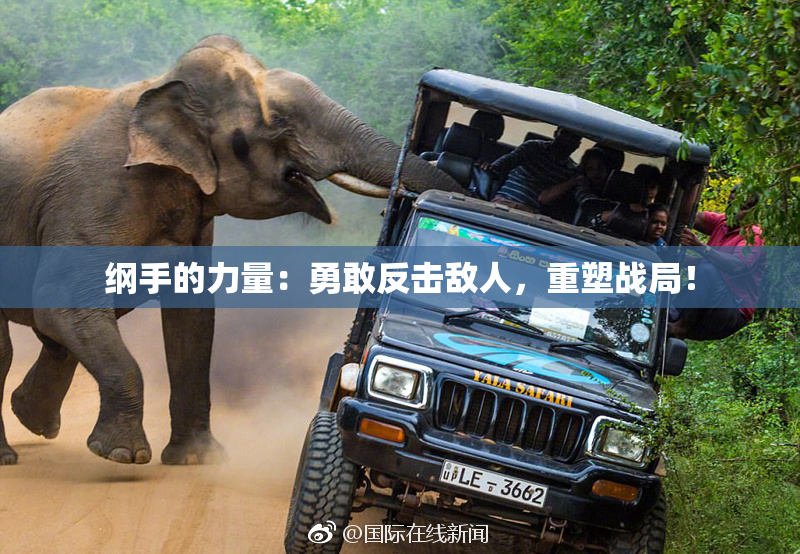 纲手的力量：勇敢反击敌人，重塑战局！