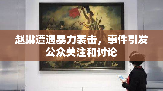 赵琳遭遇暴力袭击，事件引发公众关注和讨论