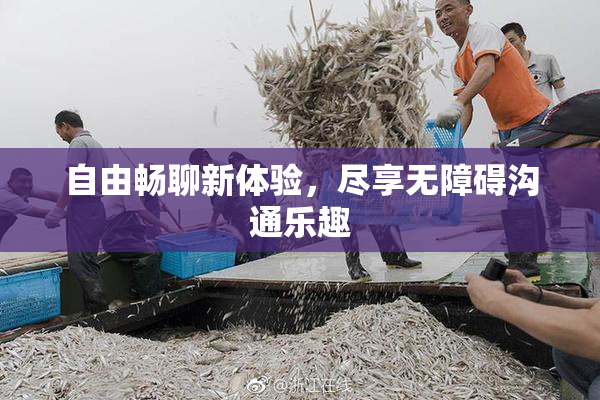 自由畅聊新体验，尽享无障碍沟通乐趣