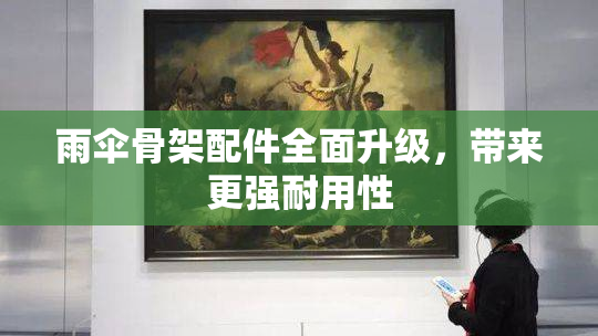 雨伞骨架配件全面升级，带来更强耐用性