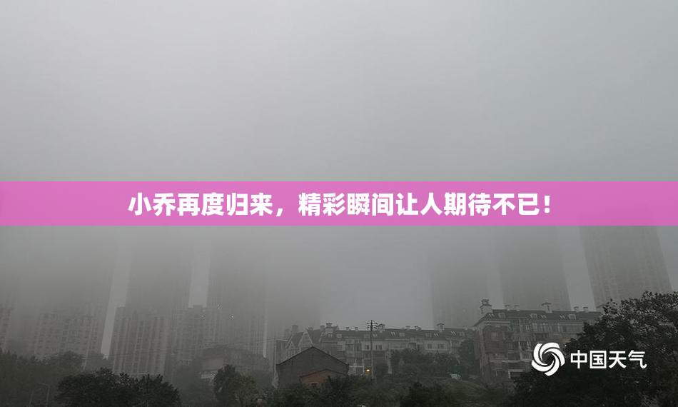 小乔再度归来，精彩瞬间让人期待不已！