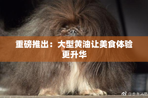 重磅推出：大型黄油让美食体验更升华