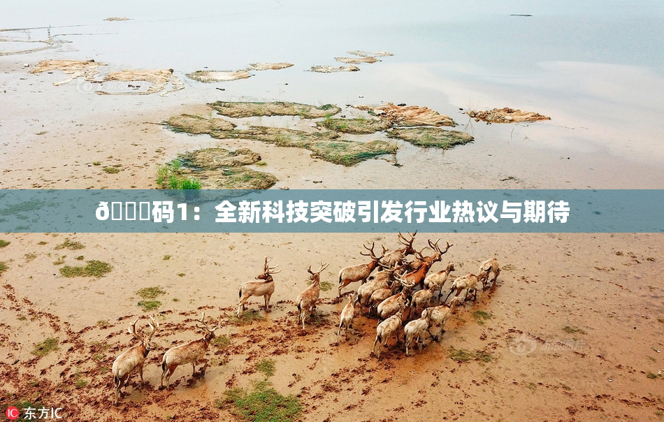 🈚码1：全新科技突破引发行业热议与期待