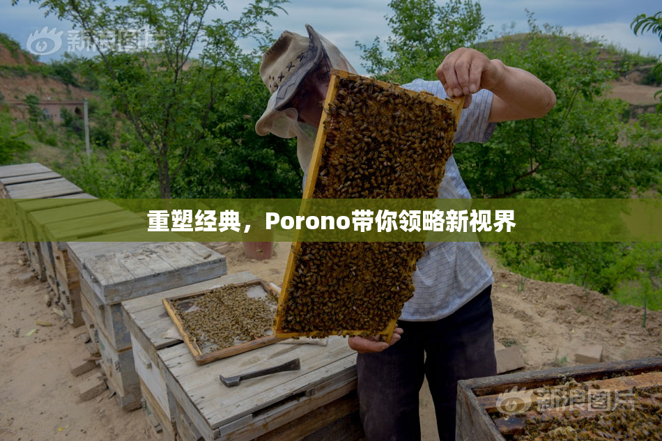 重塑经典，Porono带你领略新视界