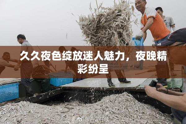 久久夜色绽放迷人魅力，夜晚精彩纷呈
