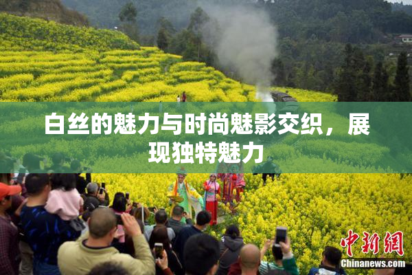 白丝的魅力与时尚魅影交织，展现独特魅力
