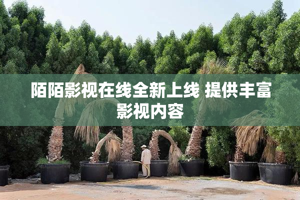 陌陌影视在线全新上线 提供丰富影视内容