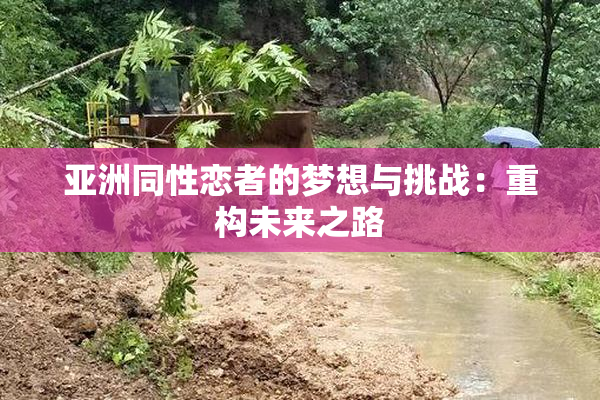 亚洲同性恋者的梦想与挑战：重构未来之路