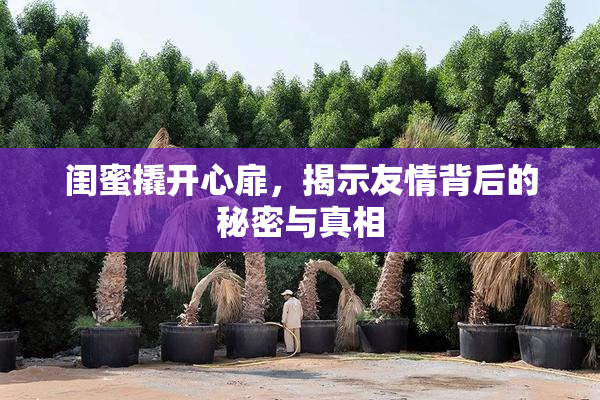 闺蜜撬开心扉，揭示友情背后的秘密与真相