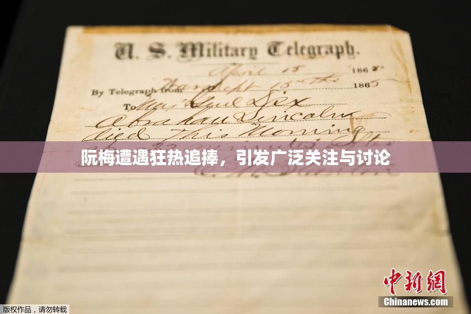 阮梅遭遇狂热追捧，引发广泛关注与讨论
