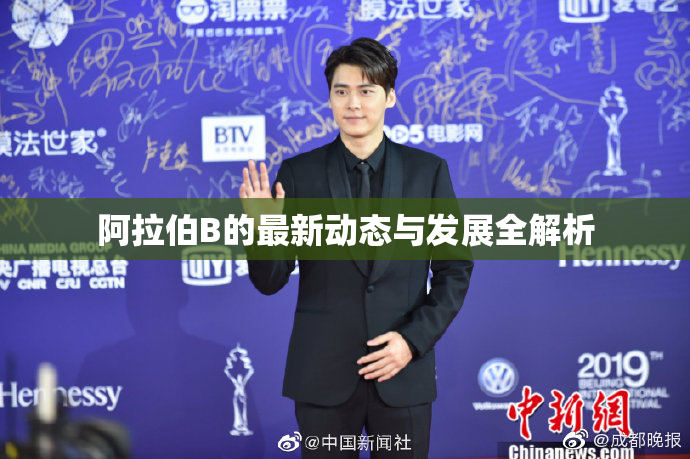 阿拉伯B的最新动态与发展全解析