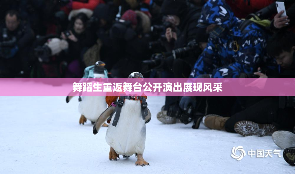 舞蹈生重返舞台公开演出展现风采