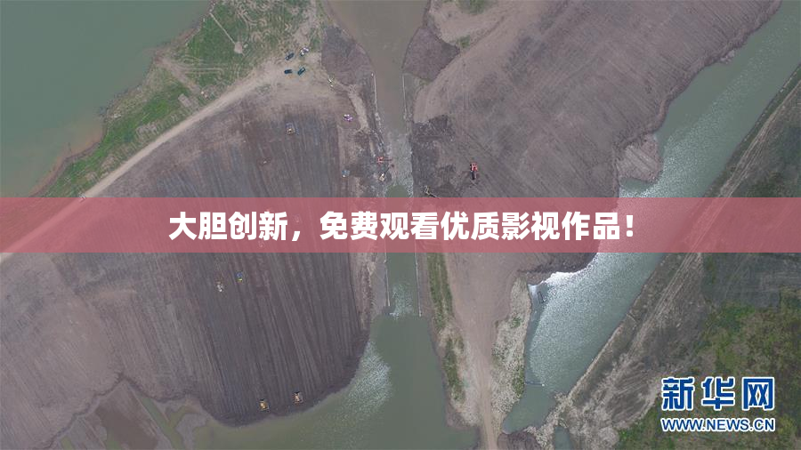 大胆创新，免费观看优质影视作品！