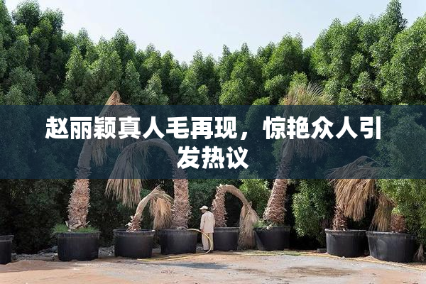 赵丽颖真人毛再现，惊艳众人引发热议