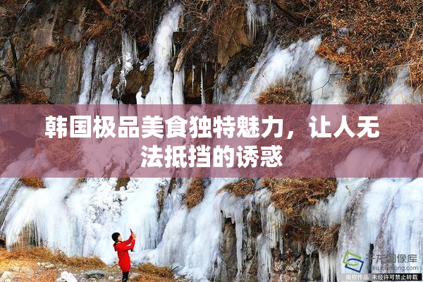 韩国极品美食独特魅力，让人无法抵挡的诱惑