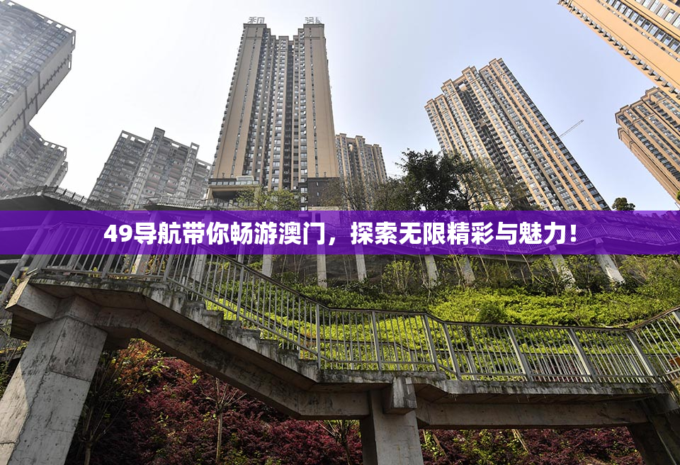 49导航带你畅游澳门，探索无限精彩与魅力！