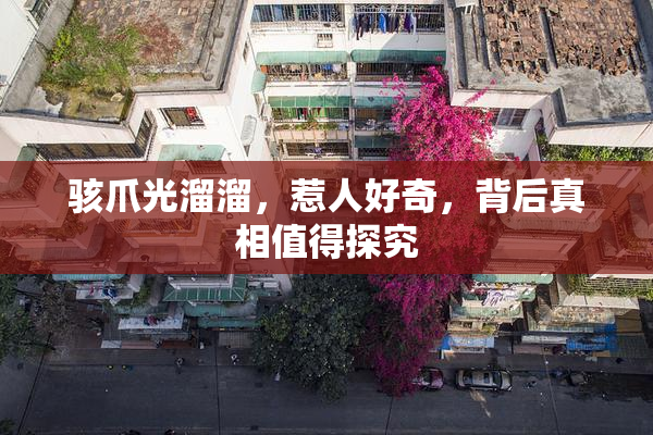 骇爪光溜溜，惹人好奇，背后真相值得探究