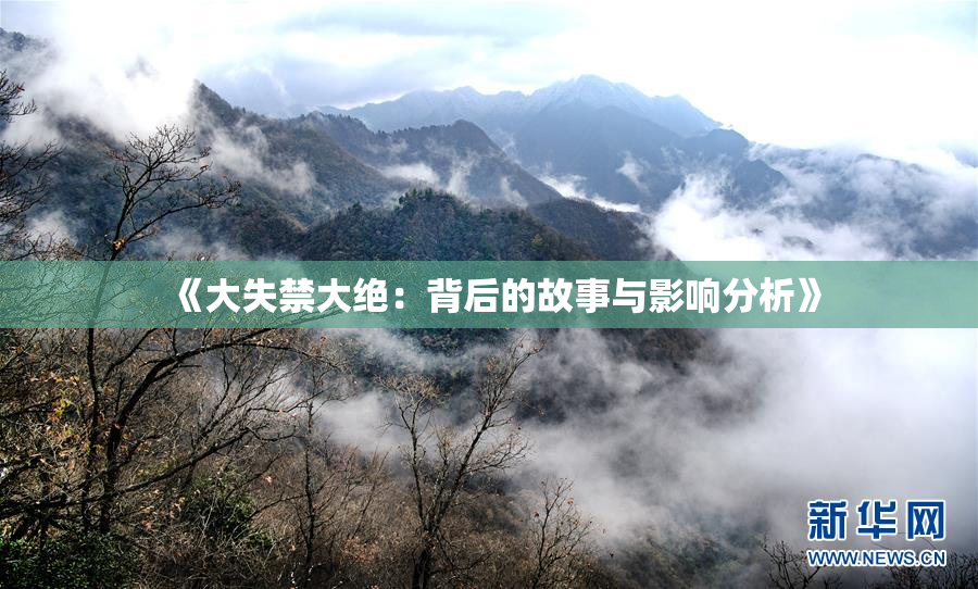 《大失禁大绝：背后的故事与影响分析》