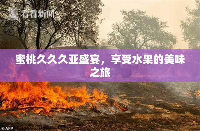 蜜桃久久久亚盛宴，享受水果的美味之旅