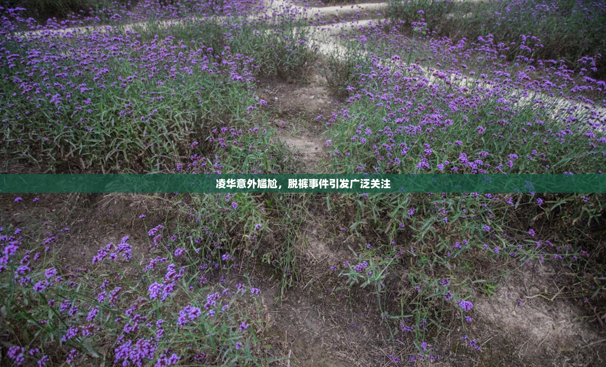 凌华意外尴尬，脱裤事件引发广泛关注