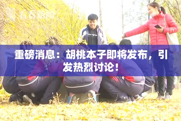 重磅消息：胡桃本子即将发布，引发热烈讨论！
