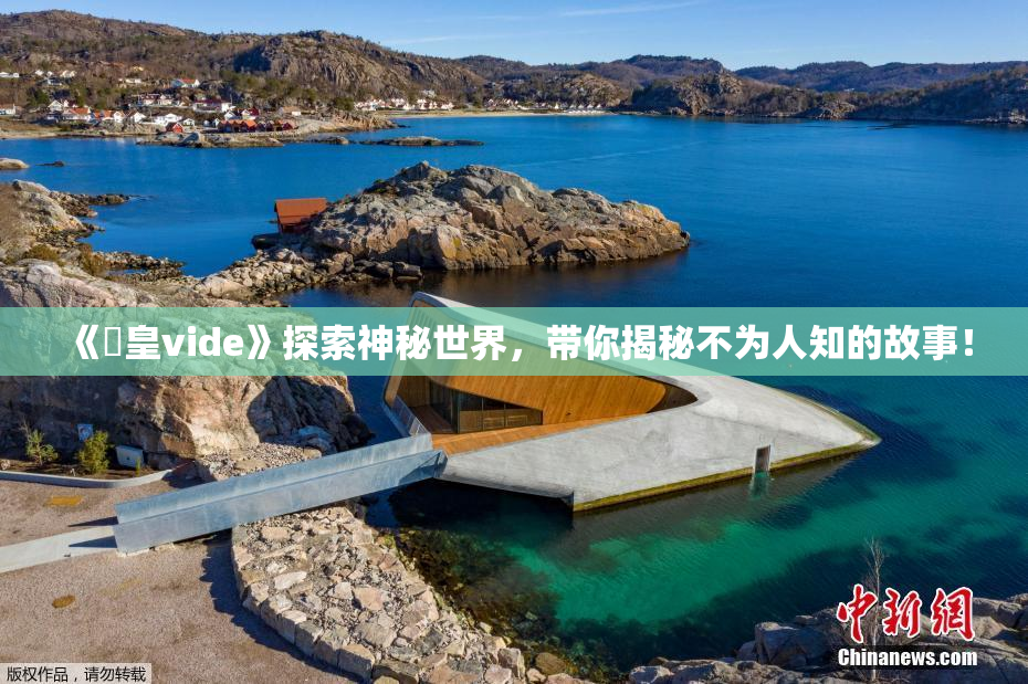 《嘼皇vide》探索神秘世界，带你揭秘不为人知的故事！