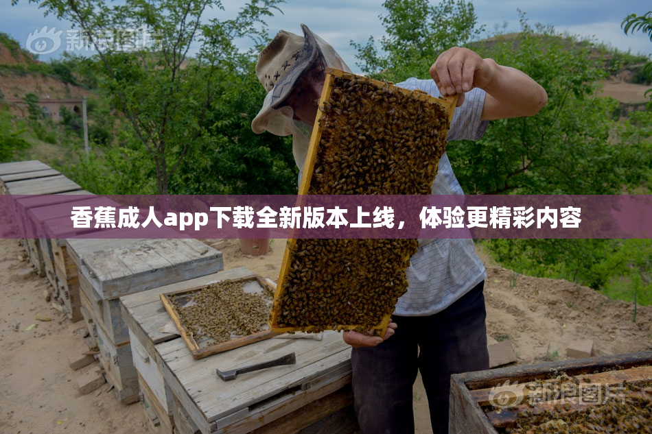 香蕉成人app下载全新版本上线，体验更精彩内容