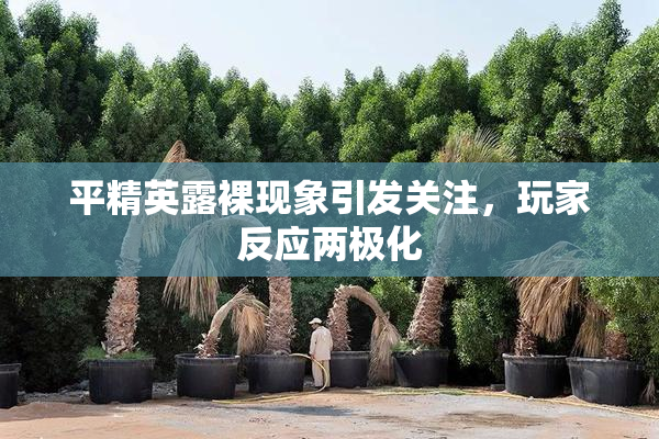 平精英露裸现象引发关注，玩家反应两极化