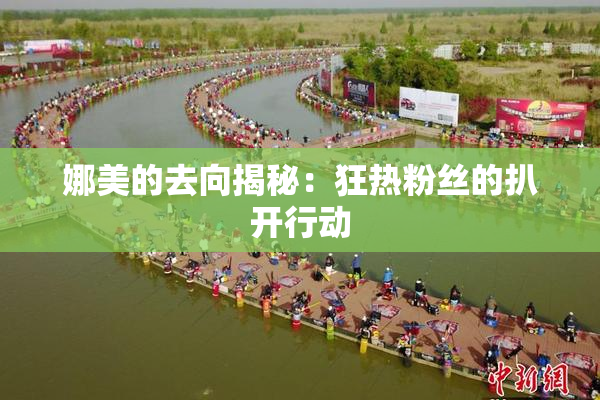 娜美的去向揭秘：狂热粉丝的扒开行动