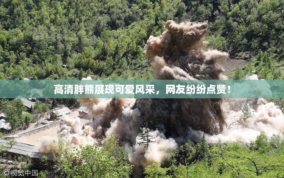 高清胖熊展现可爱风采，网友纷纷点赞！