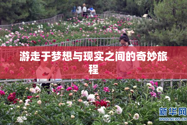 游走于梦想与现实之间的奇妙旅程