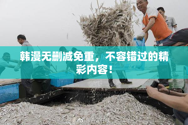 韩漫无删减免重，不容错过的精彩内容！