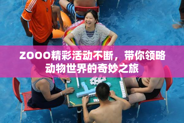 ZOOO精彩活动不断，带你领略动物世界的奇妙之旅