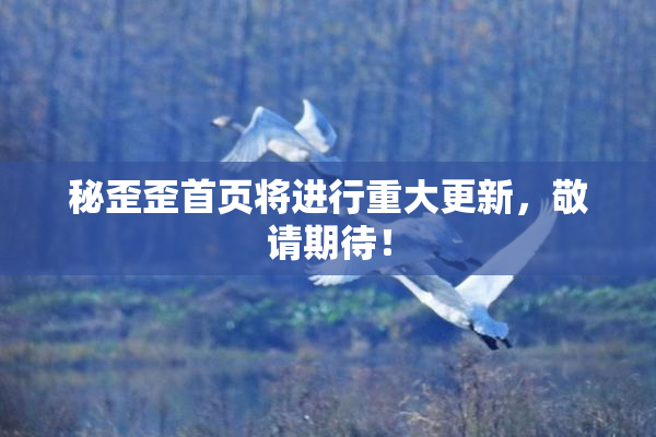 秘歪歪首页将进行重大更新，敬请期待！