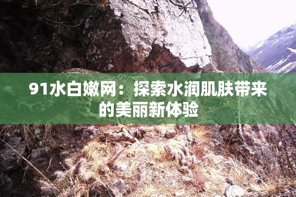 91水白嫩网：探索水润肌肤带来的美丽新体验