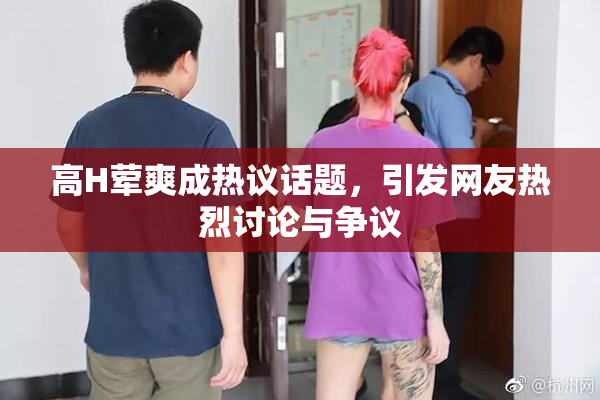 高H荤爽成热议话题，引发网友热烈讨论与争议