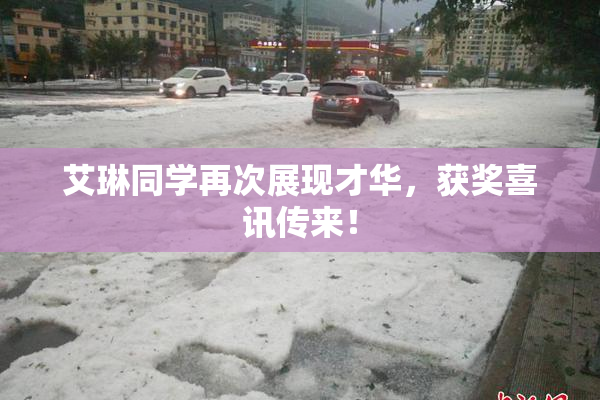 艾琳同学再次展现才华，获奖喜讯传来！