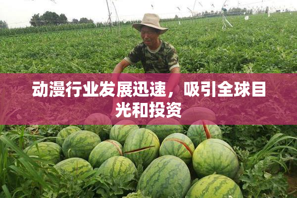 动漫行业发展迅速，吸引全球目光和投资
