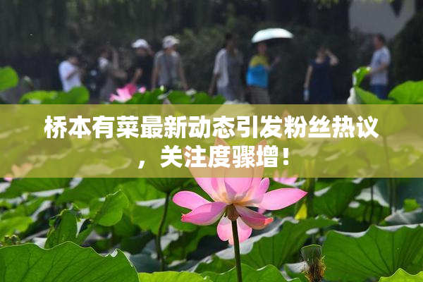 桥本有菜最新动态引发粉丝热议，关注度骤增！