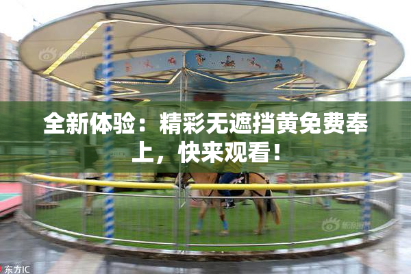 全新体验：精彩无遮挡黄免费奉上，快来观看！