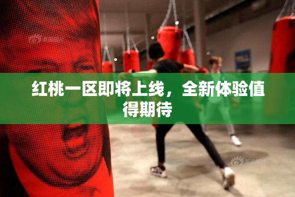 红桃一区即将上线，全新体验值得期待
