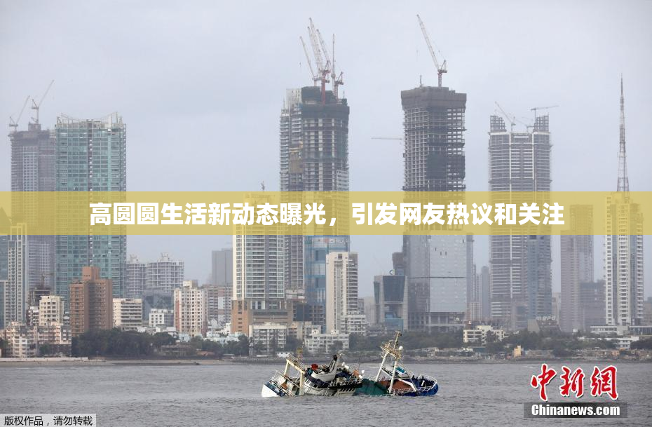 高圆圆生活新动态曝光，引发网友热议和关注