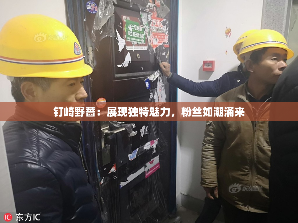 钉崎野蔷：展现独特魅力，粉丝如潮涌来