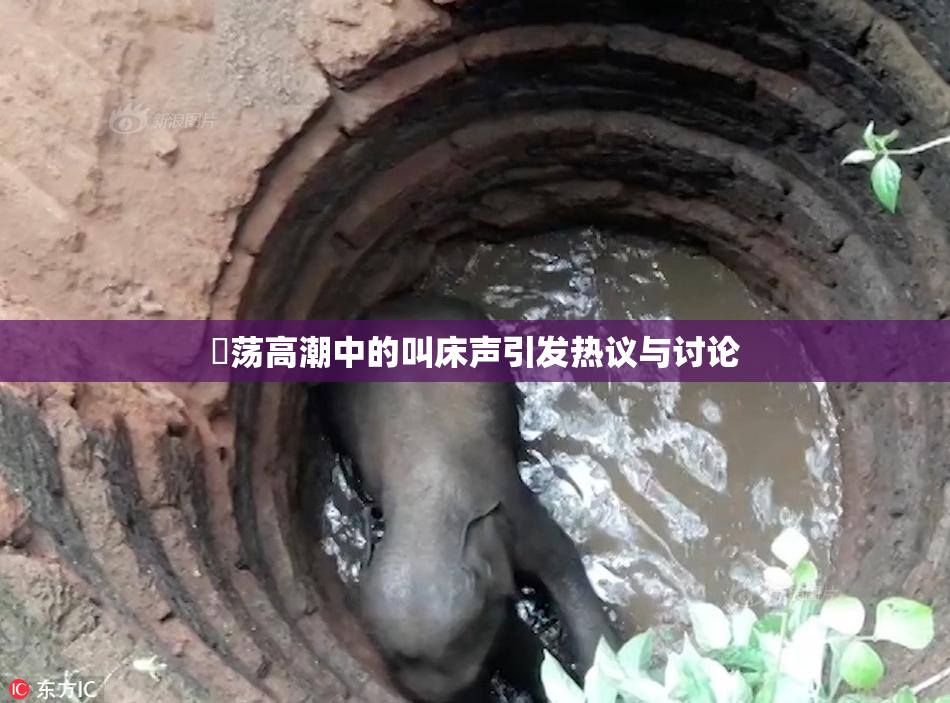 婬荡高潮中的叫床声引发热议与讨论