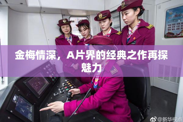 金梅情深，A片界的经典之作再探魅力