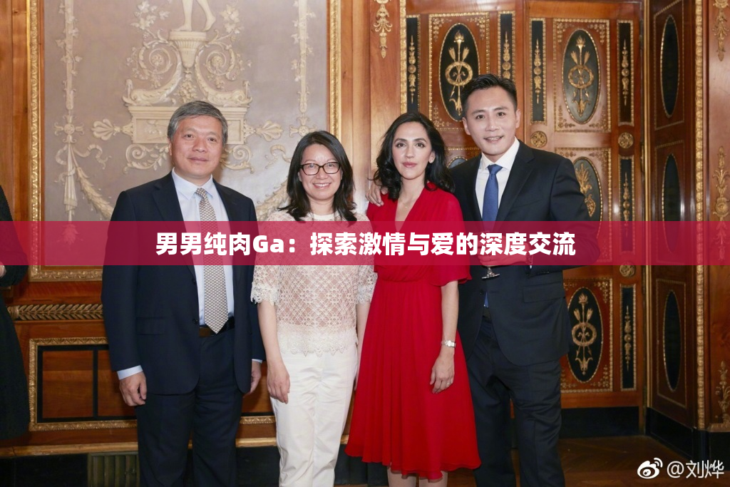 男男纯肉Ga：探索激情与爱的深度交流