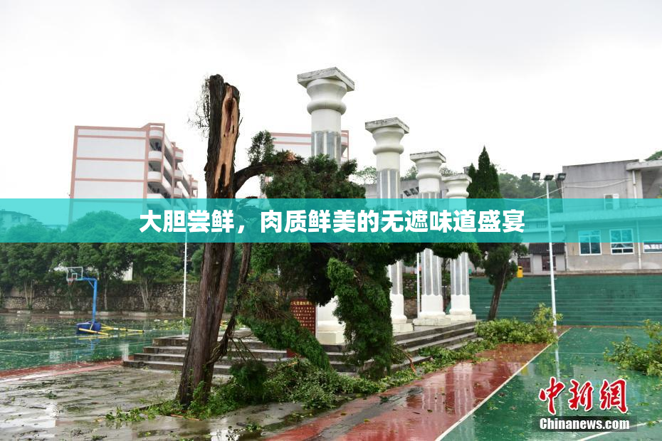 大胆尝鲜，肉质鲜美的无遮味道盛宴