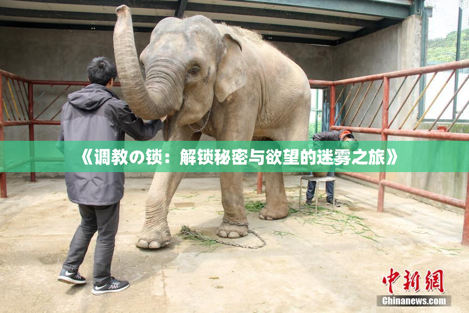 《调教の锁：解锁秘密与欲望的迷雾之旅》