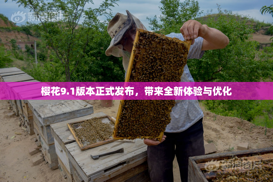 樱花9.1版本正式发布，带来全新体验与优化