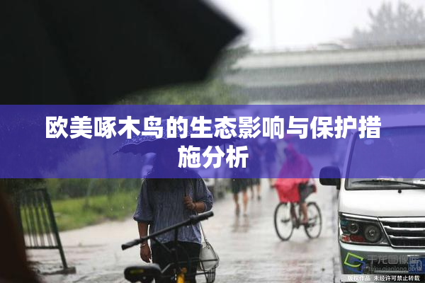 欧美啄木鸟的生态影响与保护措施分析